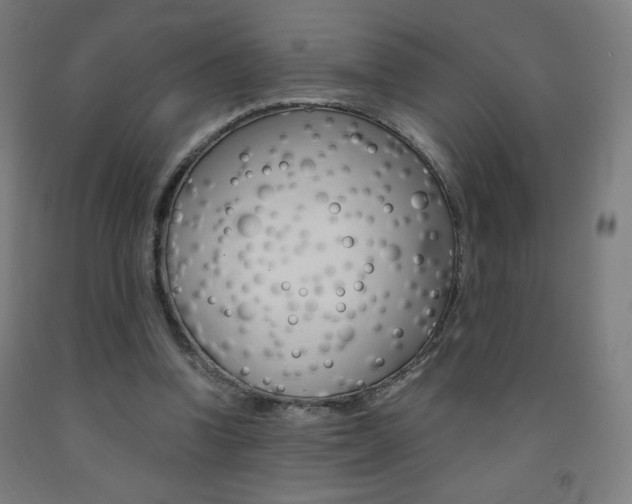 X0000093230346200709261514