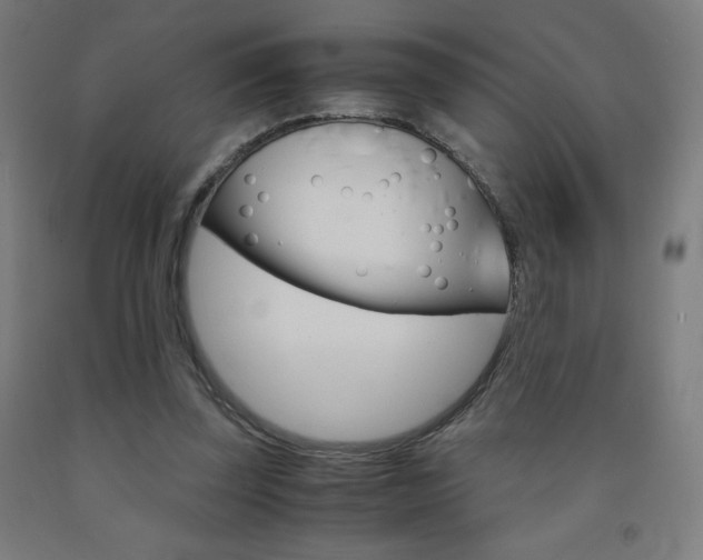 X0000093230347200709261514