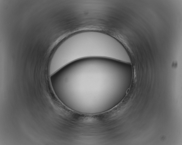 X0000093230348200709261514