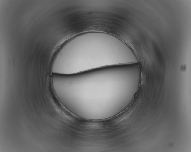 X0000093230349200709261514