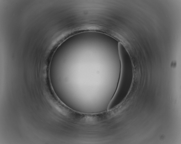 X0000093230350200709261514