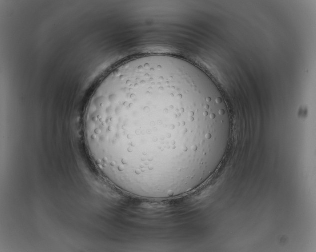 X0000093230351200709261514