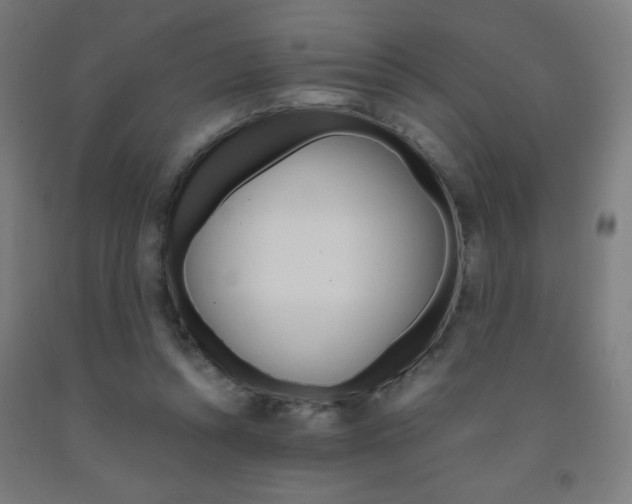 X0000093230352200709261514