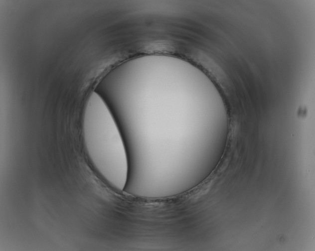 X0000093230353200709261514