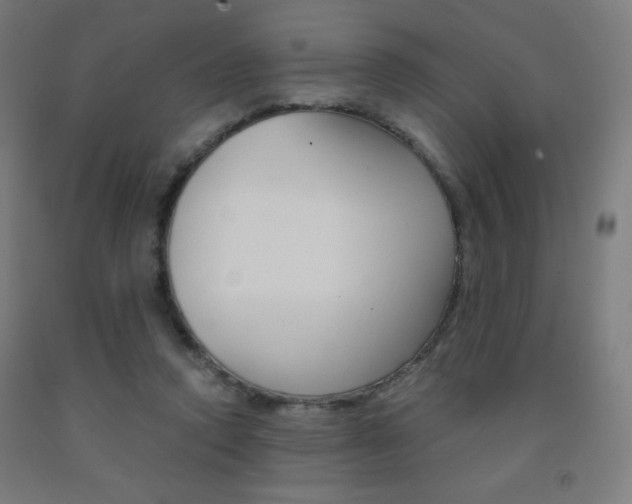 X0000093230354200709261514