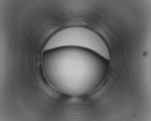 X0000093230356200709261514