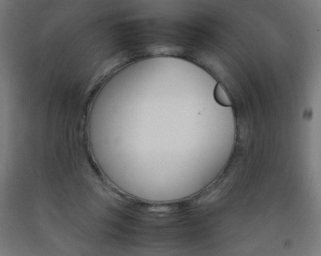 X0000093230357200709261514