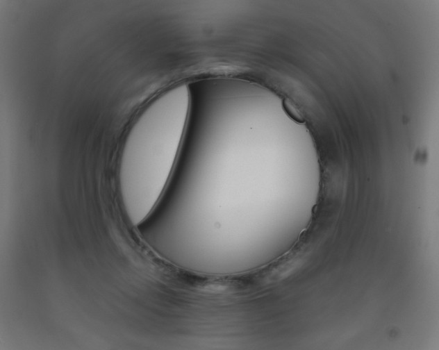 X0000093230358200709261514