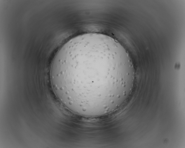 X0000093230359200709261514