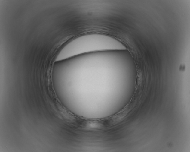 X0000093230360200709261514