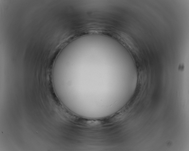 X0000093230363200709261514