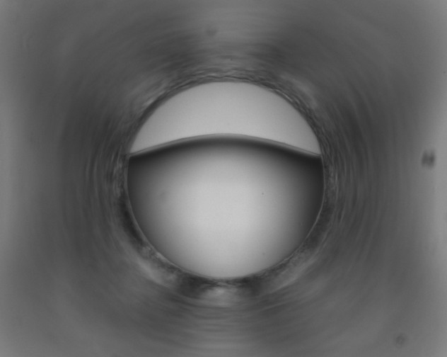 X0000093230364200709261514