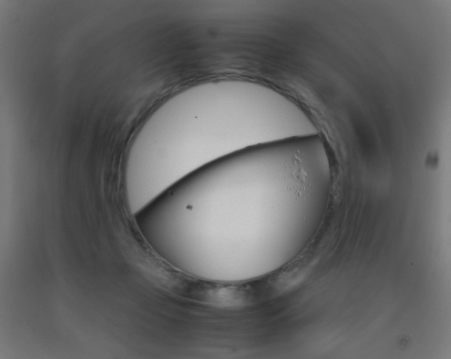 X0000093230365200709261514