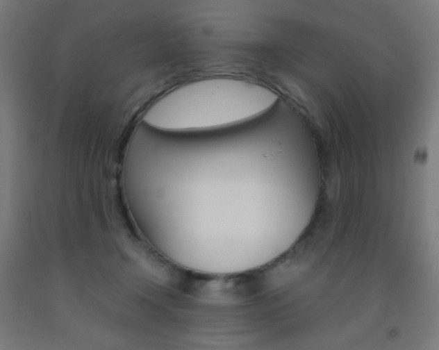 X0000093230366200709261514