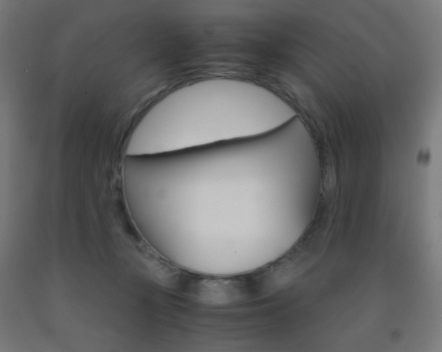 X0000093230367200709261514