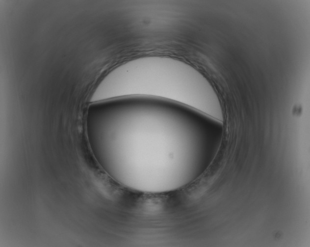 X0000093230368200709261514