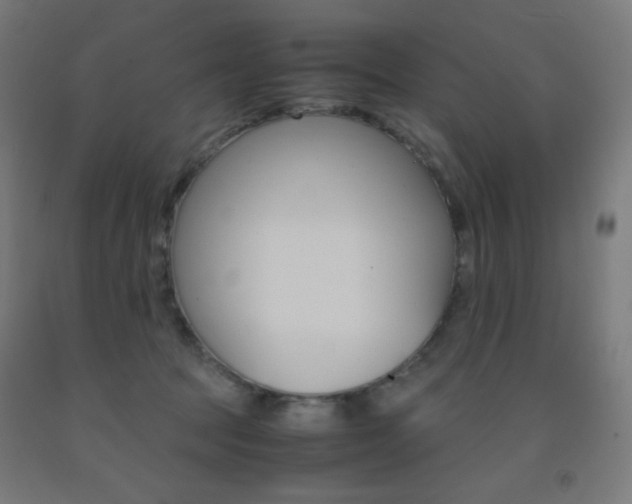 X0000093230369200709261514