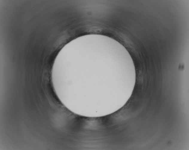 X0000093230370200709261514