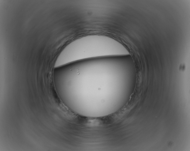 X0000093230376200709261514