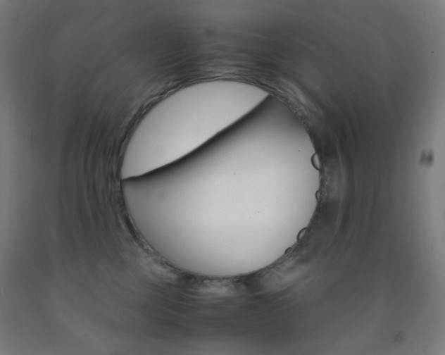 X0000093230377200709261514