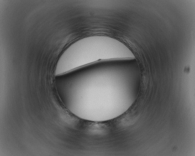 X0000093230379200709261514