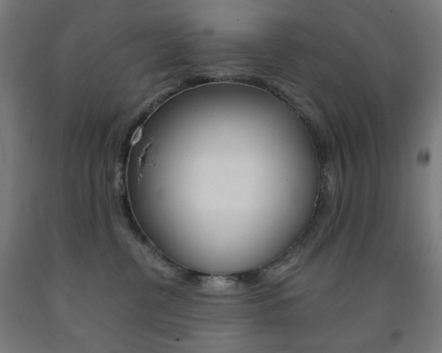 X0000093230380200709261514