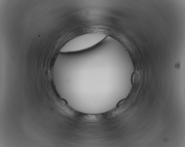 X0000093230381200709261514