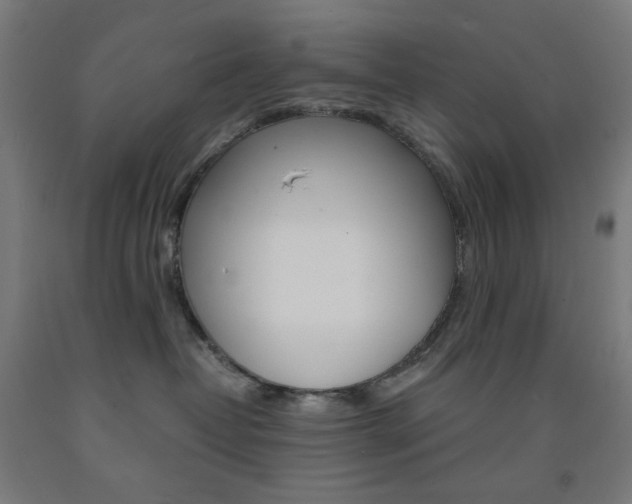 X0000093230382200709261514