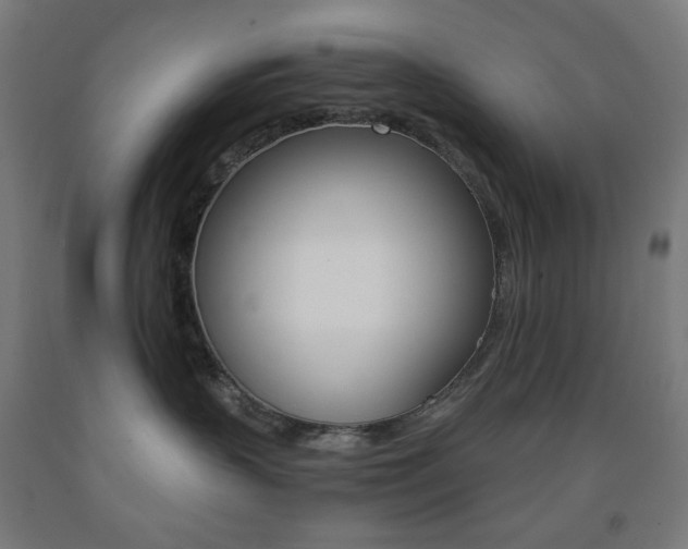 X0000093230383200709261514