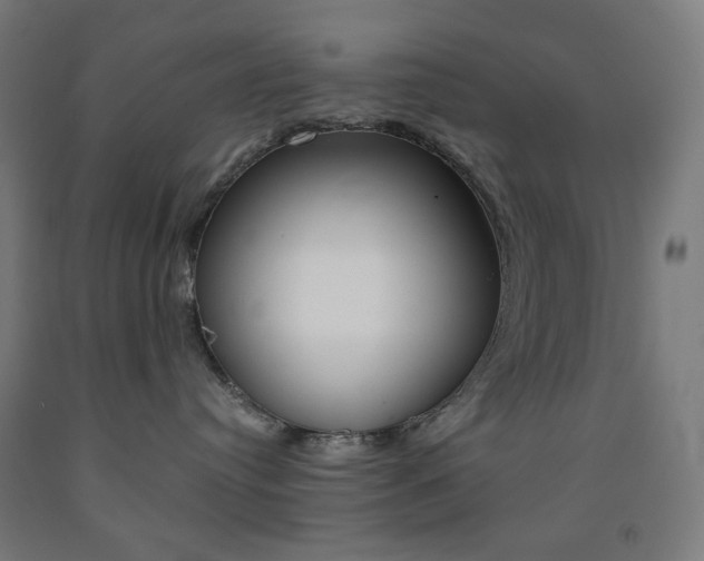 X0000093230384200709261514