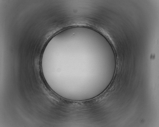 X0000093230386200709261514