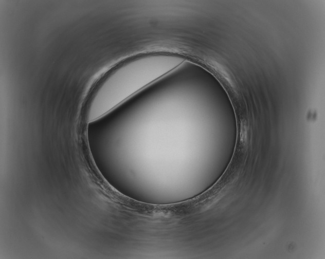 X0000093230388200709261514
