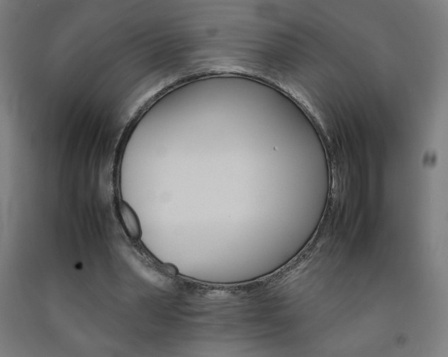 X0000093230390200709261514