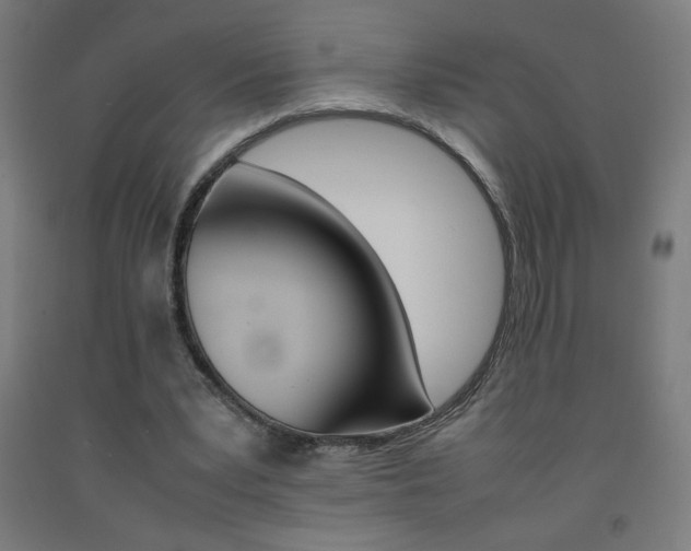 X0000093230391200709261514