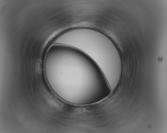 X0000093230392200709261514