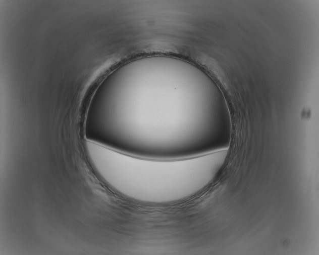 X0000093230395200709261514