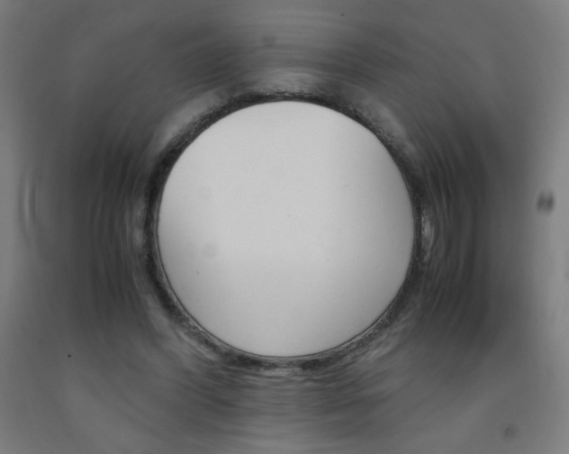 X0000093230396200709261514