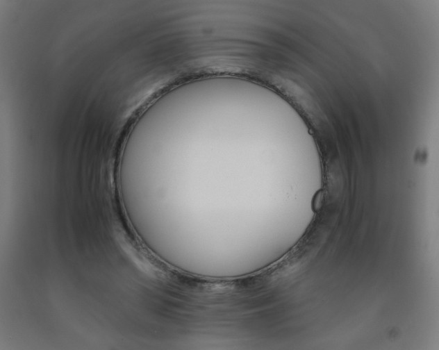 X0000093230398200709261513