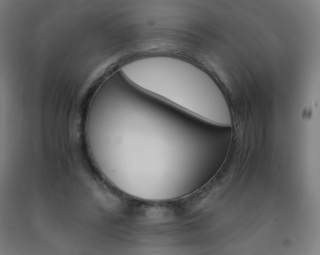 X0000093230400200709261513