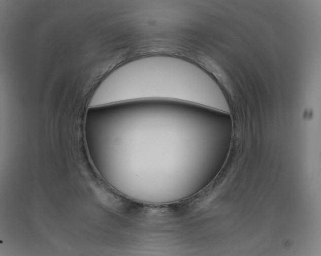 X0000093230401200709261513