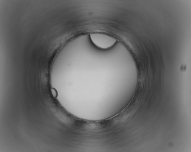 X0000093230402200709261513