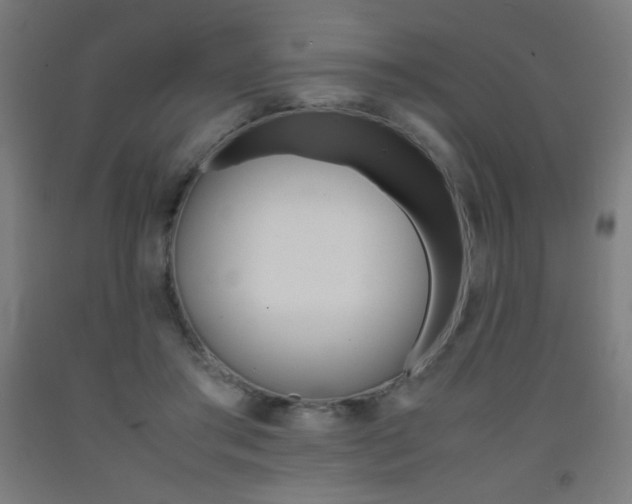 X0000093230405200709261513