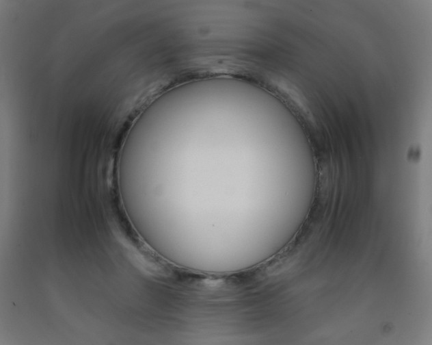 X0000093230406200709261513