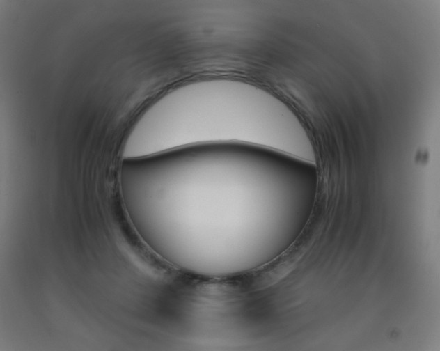 X0000093230408200709261513