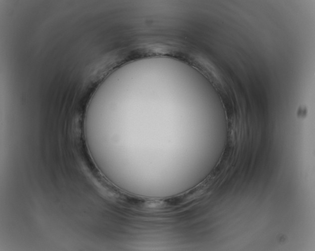X0000093230410200709261513