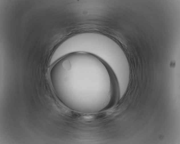 X0000093230411200709261513