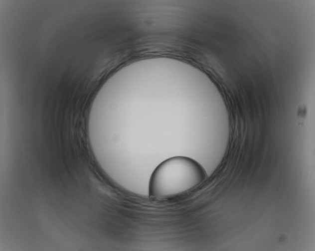 X0000093230412200709261513