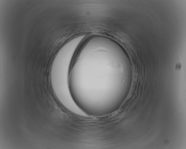 X0000093230415200709261513