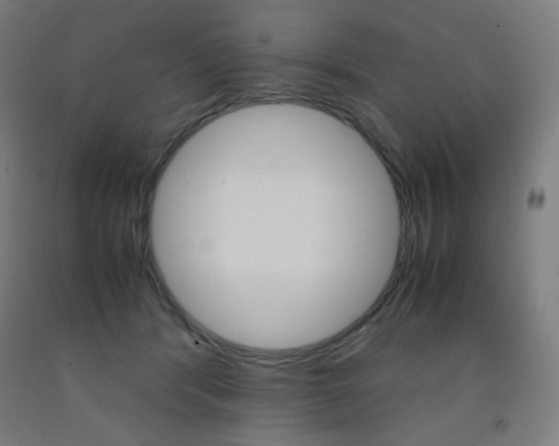 X0000093230416200709261513