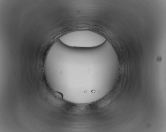 X0000093230418200709261513